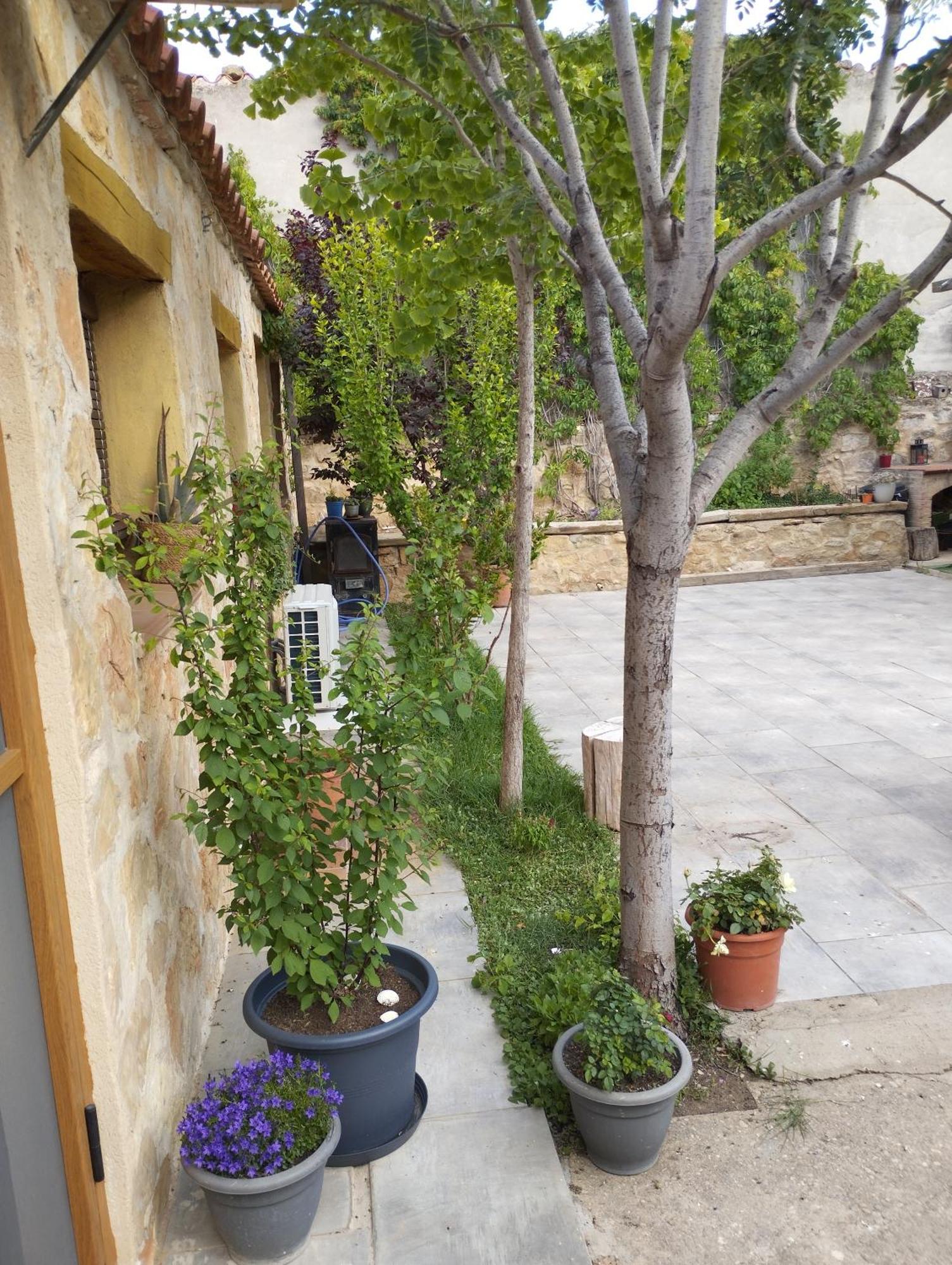 Casa Rural El Olivo Puigmoreno Exteriér fotografie